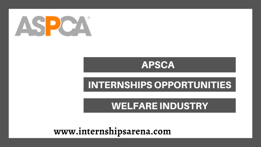 APSCA Internships In 2024 New Openings Internships Arena