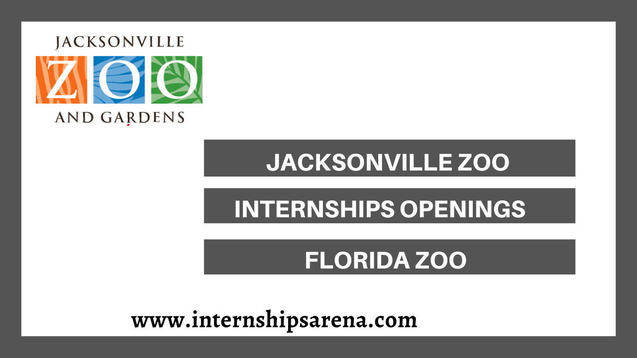 Jacksonville Zoo Internships In 2024 New Openings - Internships Arena