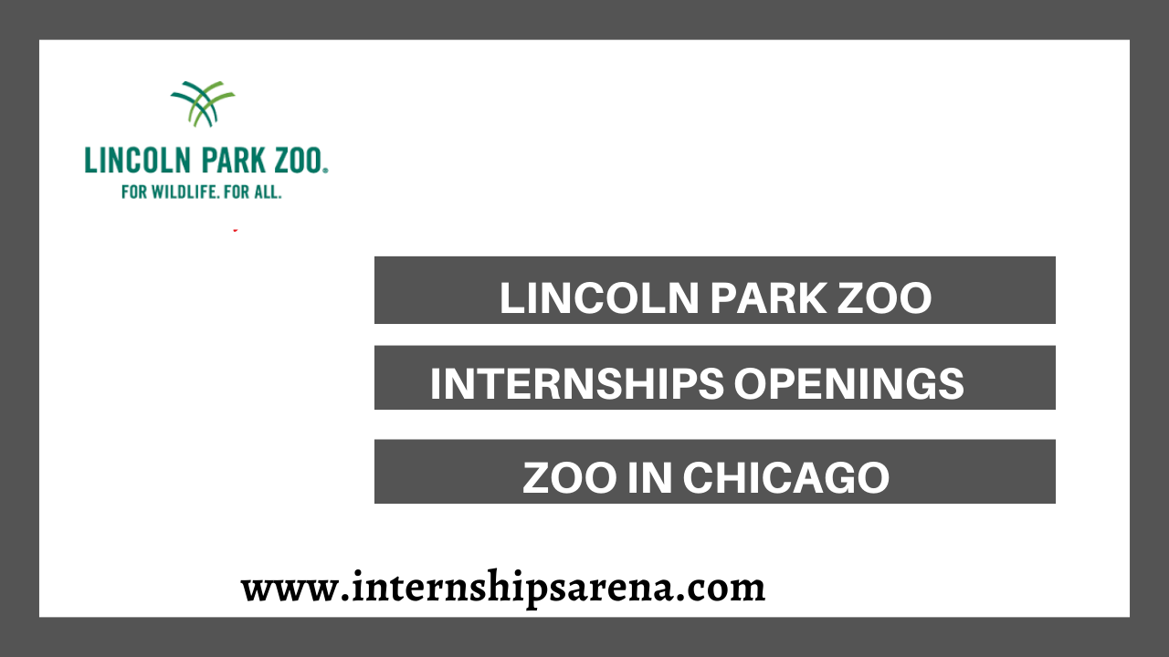 Lincoln Park Zoo Internship In 2024 Fresh Beginnings Internships Arena