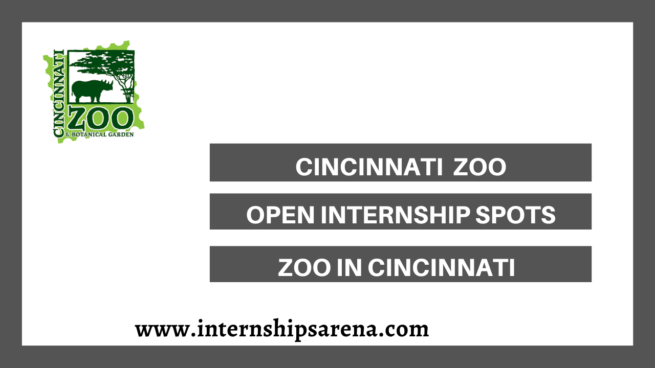 Cincinnati Zoo Internship In 2024 Public Animal Park Internships Arena