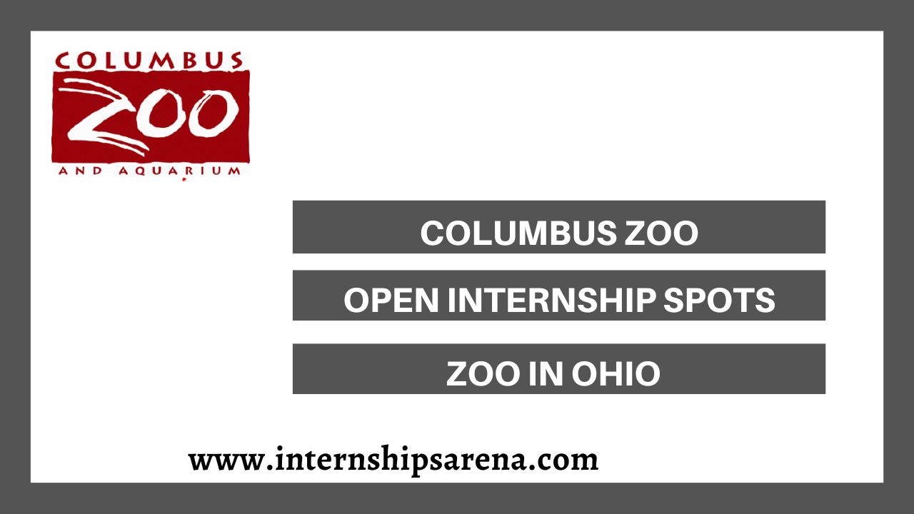 Columbus Zoo Internships In 2024 Zoo In Ohio Internships Arena