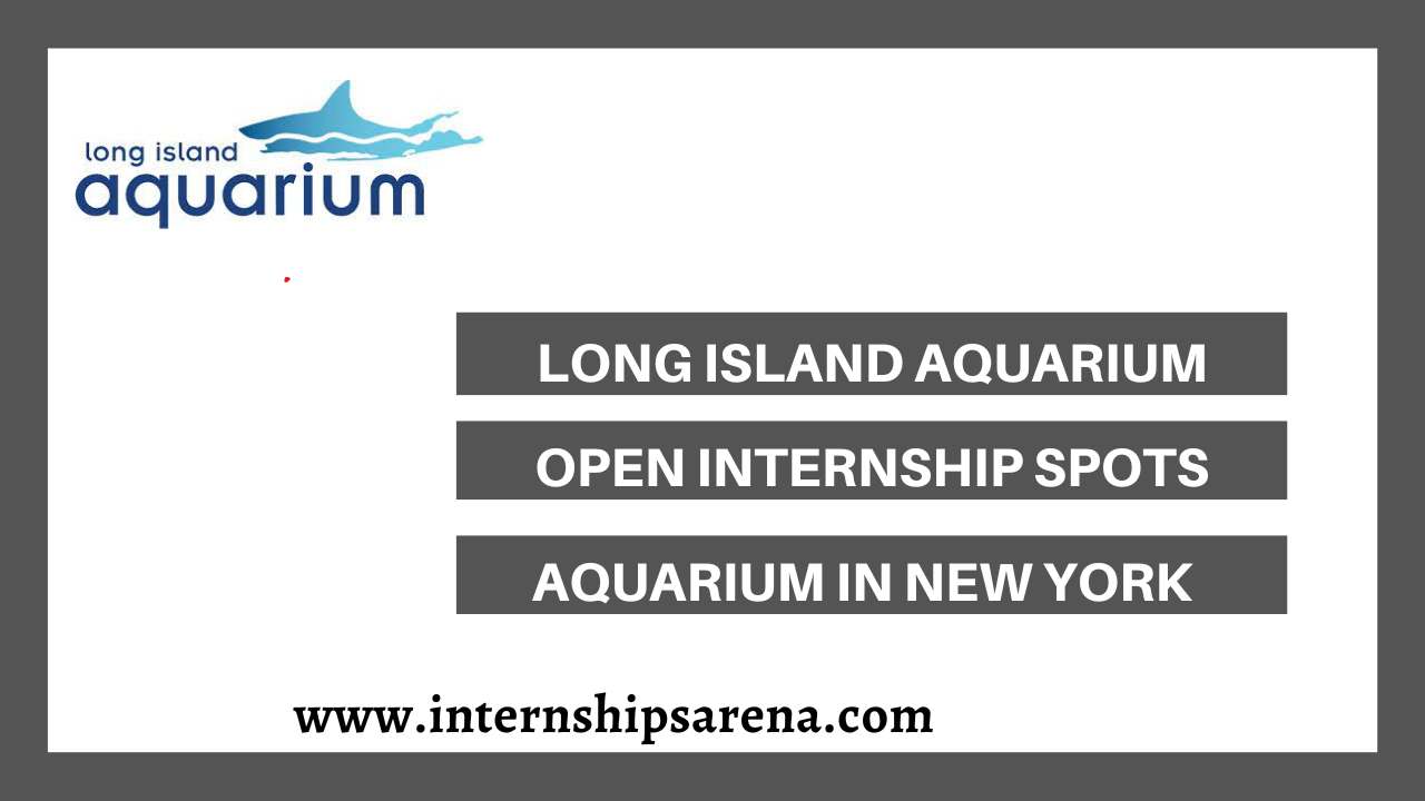 Long Island Aquarium Internship 