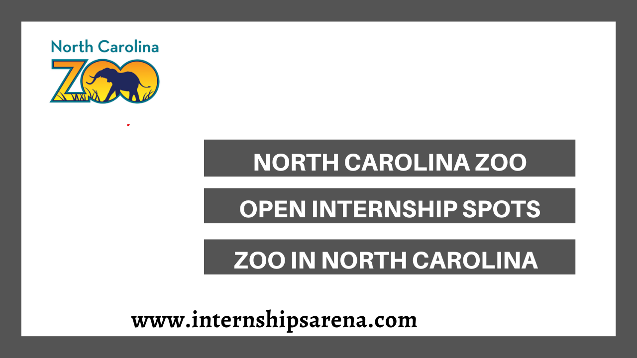 NC Zoo Internship In 2024 Zoo In North Carolina Internships Arena