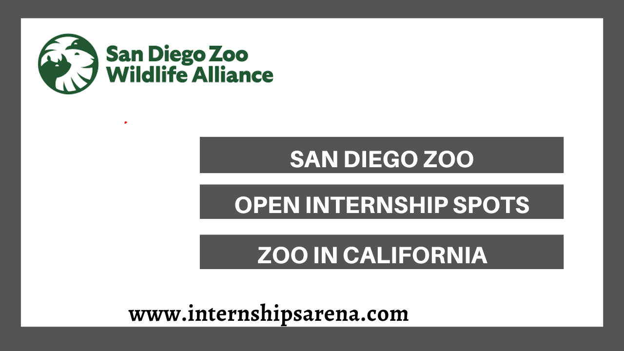 San Diego Zoo Internships In 2024 Wildlife Programs Internships Arena