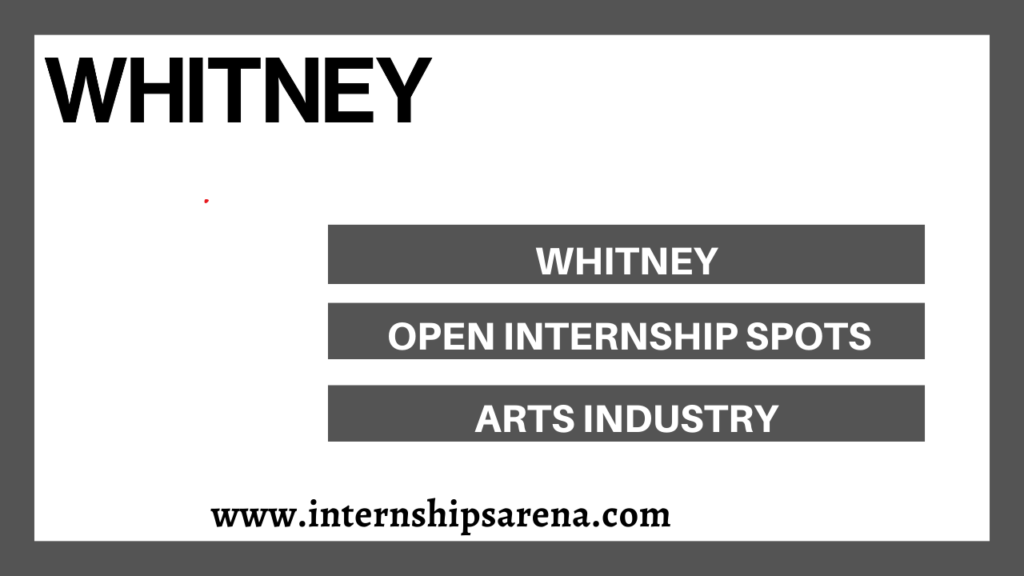 Whitney Museum Internship In 2024 Present Employment Options