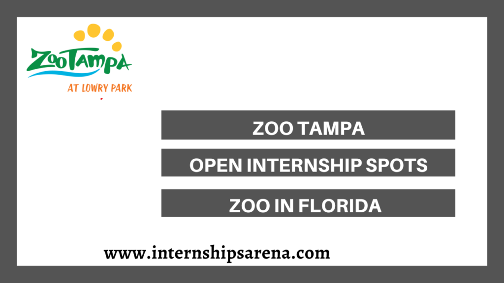 Zoo Tampa Internships In 2024 Present Commencements Internships Arena