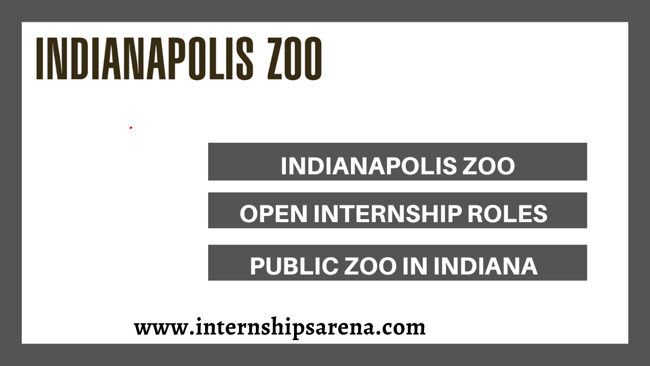 Indianapolis Zoo Internships In 2024 Internships Arena
